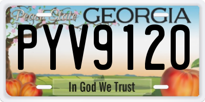 GA license plate PYV9120