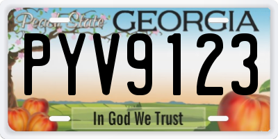 GA license plate PYV9123