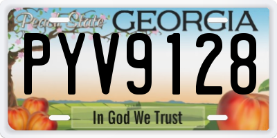 GA license plate PYV9128