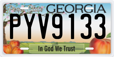 GA license plate PYV9133