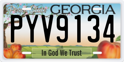 GA license plate PYV9134