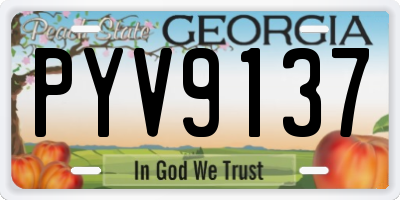 GA license plate PYV9137