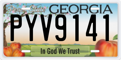 GA license plate PYV9141