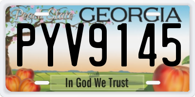GA license plate PYV9145