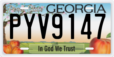 GA license plate PYV9147