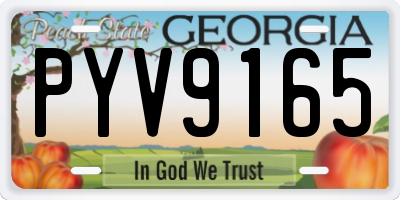 GA license plate PYV9165