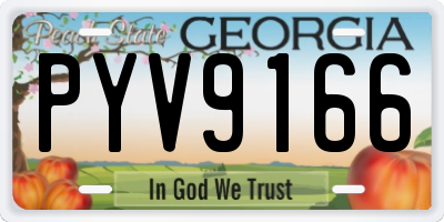 GA license plate PYV9166