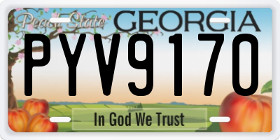 GA license plate PYV9170