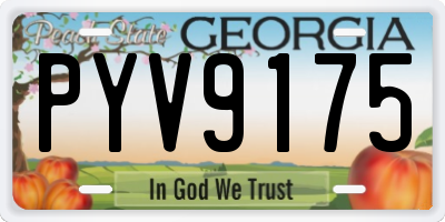 GA license plate PYV9175