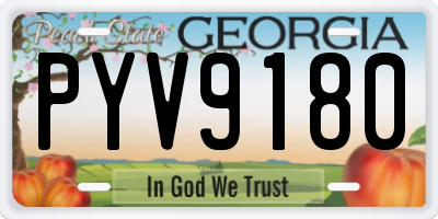 GA license plate PYV9180