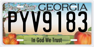 GA license plate PYV9183
