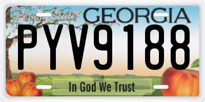 GA license plate PYV9188