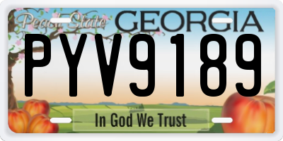 GA license plate PYV9189
