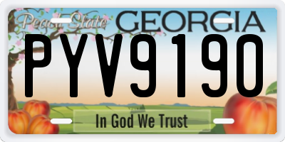 GA license plate PYV9190