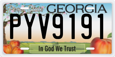 GA license plate PYV9191