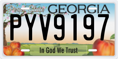 GA license plate PYV9197