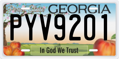 GA license plate PYV9201