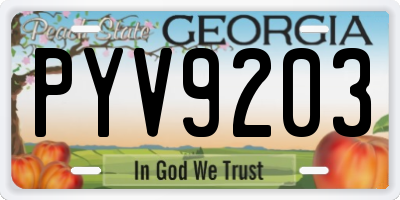 GA license plate PYV9203