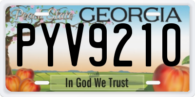 GA license plate PYV9210