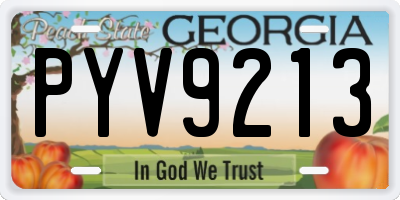 GA license plate PYV9213