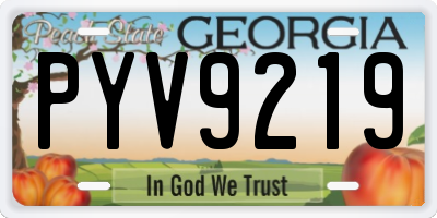 GA license plate PYV9219