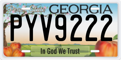 GA license plate PYV9222
