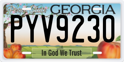 GA license plate PYV9230