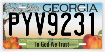 GA license plate PYV9231
