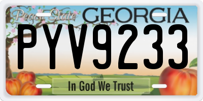 GA license plate PYV9233