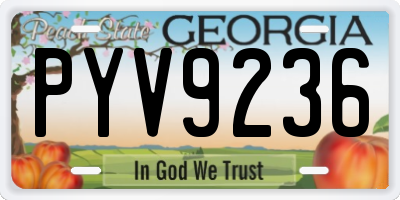 GA license plate PYV9236