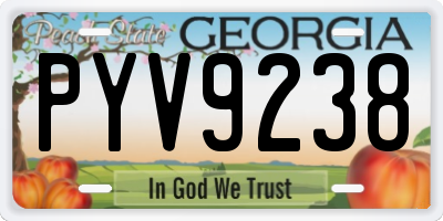 GA license plate PYV9238