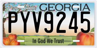 GA license plate PYV9245