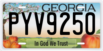 GA license plate PYV9250