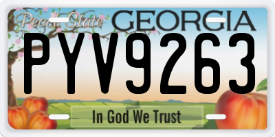 GA license plate PYV9263