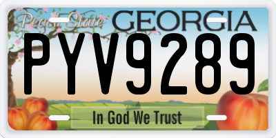 GA license plate PYV9289