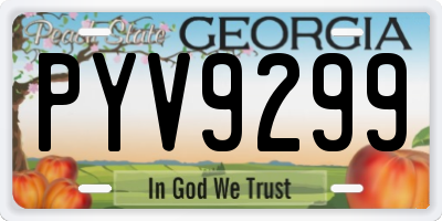GA license plate PYV9299