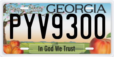 GA license plate PYV9300