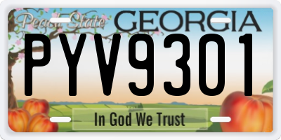 GA license plate PYV9301