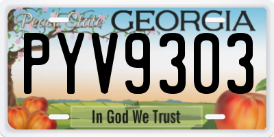 GA license plate PYV9303