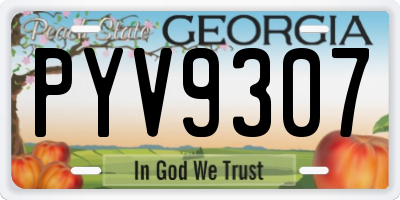 GA license plate PYV9307