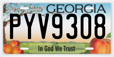 GA license plate PYV9308