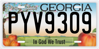 GA license plate PYV9309
