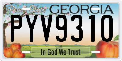 GA license plate PYV9310