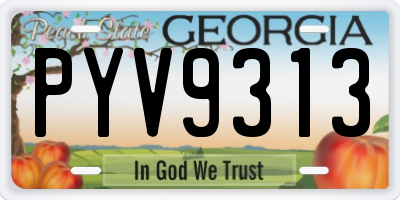GA license plate PYV9313