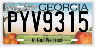 GA license plate PYV9315
