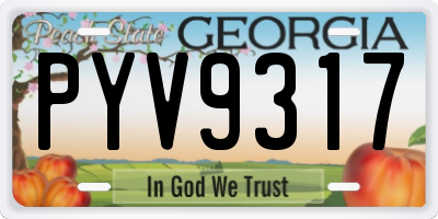 GA license plate PYV9317