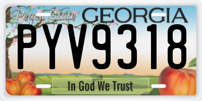 GA license plate PYV9318