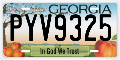 GA license plate PYV9325