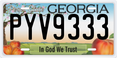 GA license plate PYV9333