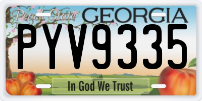 GA license plate PYV9335